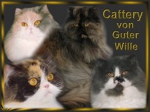 Von Guter Wille